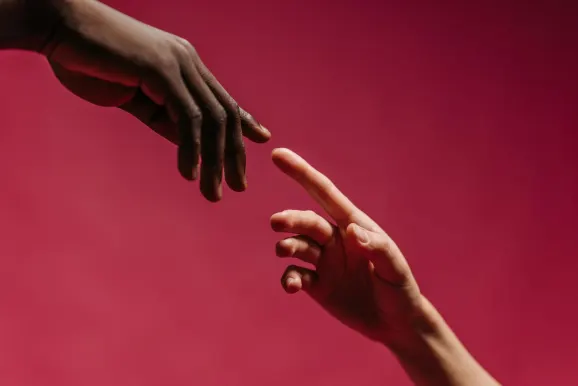 Rex Cazino Cazinou Suport